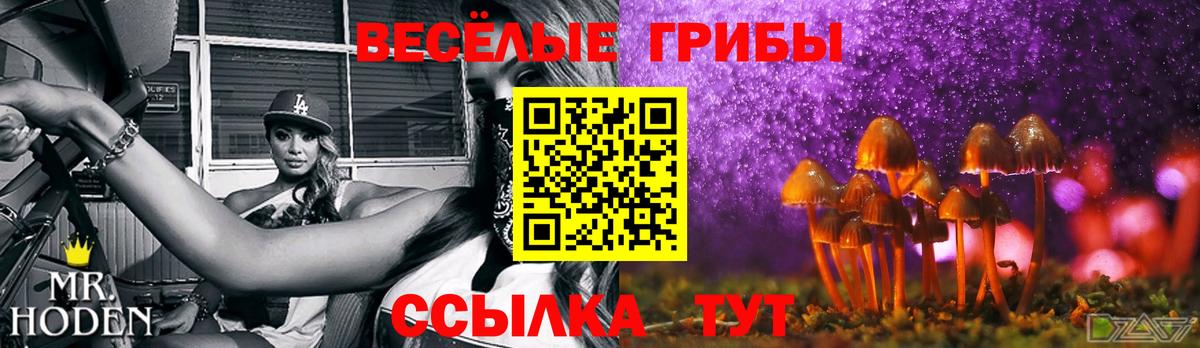 Псилоцибиновые грибы прущие грибы  Вход с VPN  Галлюциногенные грибы MAGIC MUSHROOMS  Каспийск 