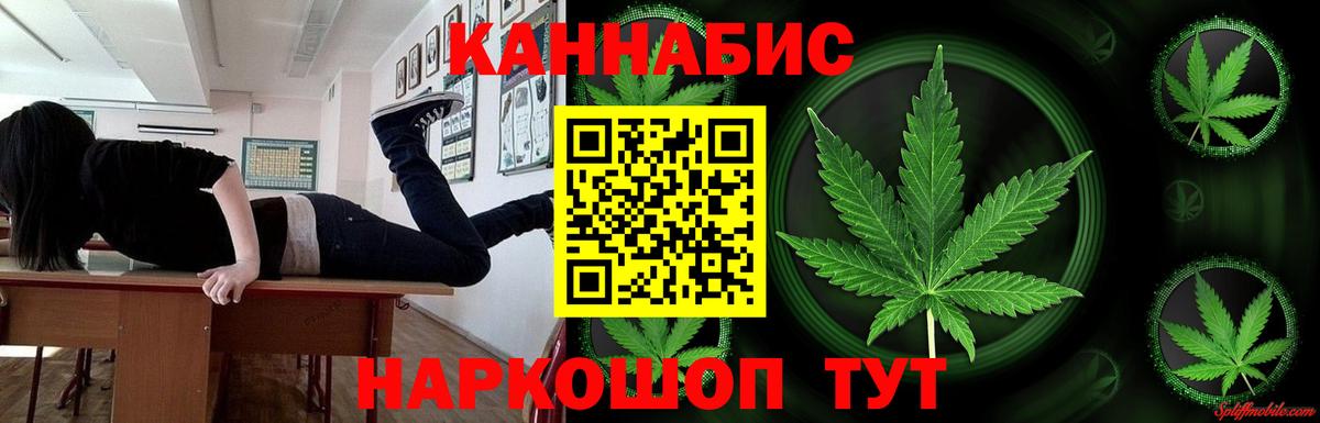Каннабис сатива Каспийск